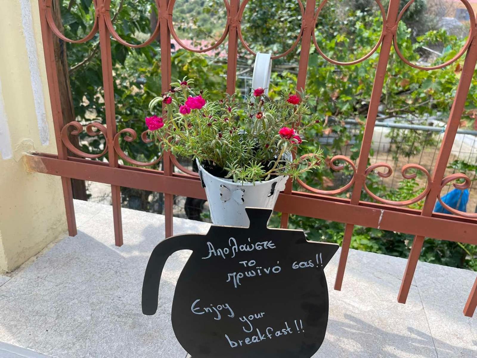 Villa Pinotsi Σύμη Εξωτερικό φωτογραφία